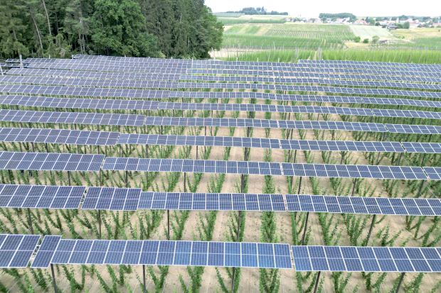 Green economy projected to hit $7trn annually by 2030